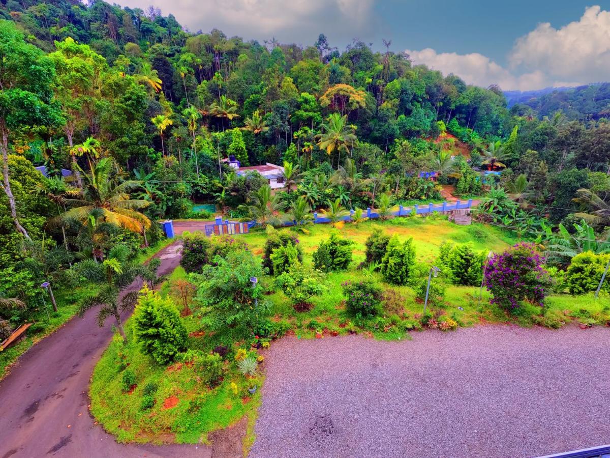 Green Cove Munnar Anachal Bagian luar foto